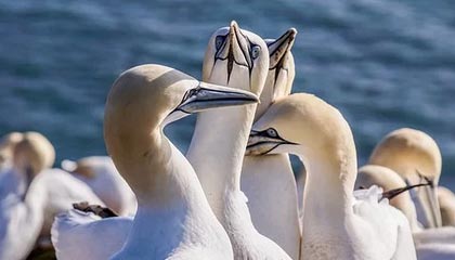 kaiyun体育app-《电竞迷的梦想：打造属于自己的专属电竞基地》，电竞1∨1hh