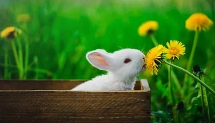 开云体育登录网站入口-《CS_GO年度决赛，硝烟散尽谁为王》，硝烟散尽3